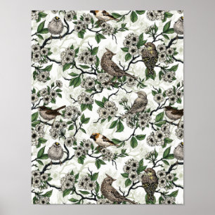 Birds and cherry blossom on white poster