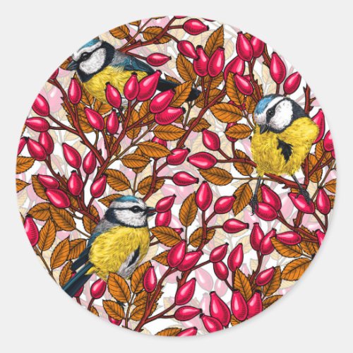 Birds and dog rose hips classic round sticker