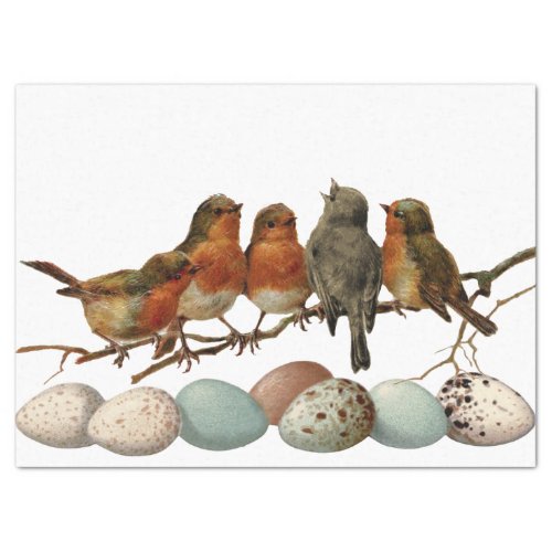Birds and Eggs Vintage European Robin Decoupage Tissue Paper