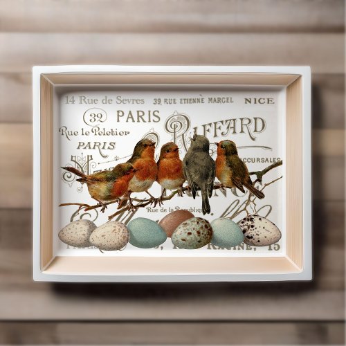 Birds and Eggs Vintage French City Names Decoupage Tissue Paper