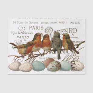 Birds and Eggs Vintage French City Names Decoupage Tissue Paper