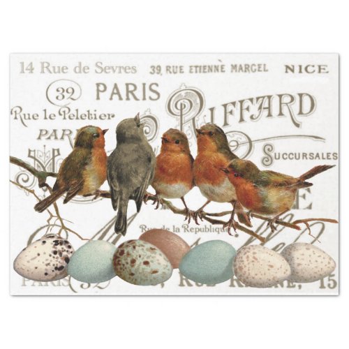 Birds and Eggs Vintage French City Names Decoupage Tissue Paper