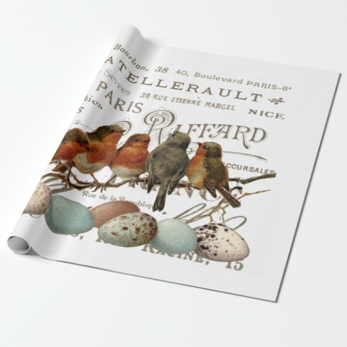 Birds and Eggs Vintage French City Names Decoupage Wrapping Paper