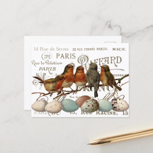 Birds and Eggs Vintage French City Names Scrapbook Postcard