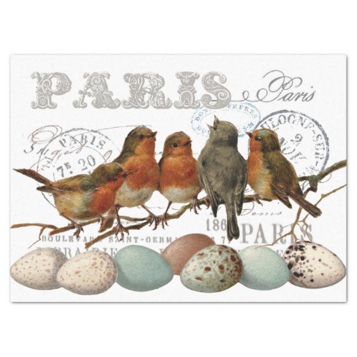Birds and Eggs Vintage French Paris Text Decoupage Tissue Paper