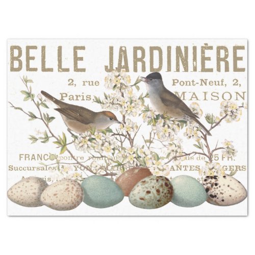 Birds and Eggs Vintage French Typography Decoupage Tissue Paper