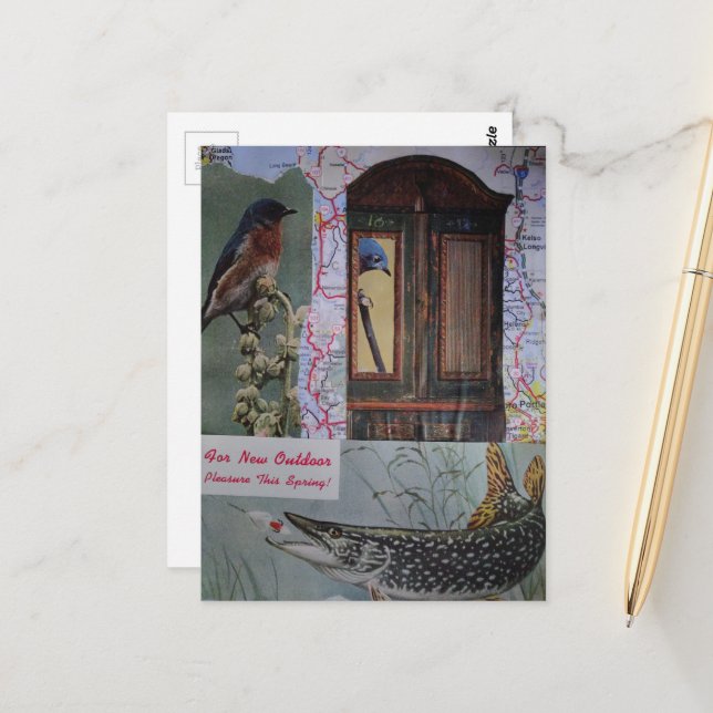 Birds and Fish Collage Postcard (Front/Back In Situ)