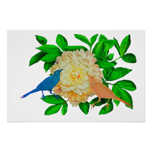 Birds and Flower Poster