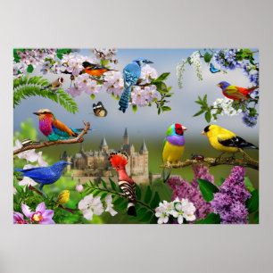 Birds and flowers Beautiful image with birds Poster