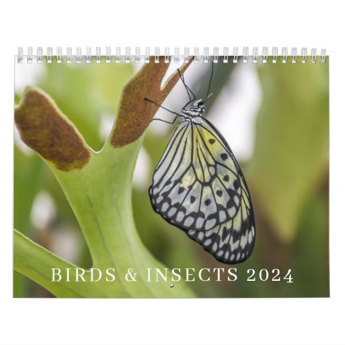 Birds and insects 2024 calendar