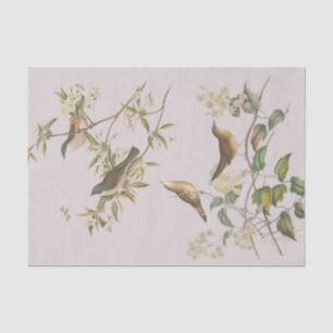 Birds and leaves, romantic wedding  tissue paper