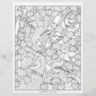 Birds and Maple Tree Adult Coloring Page