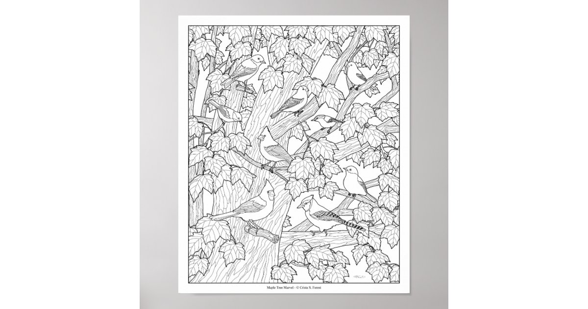 reno nevada coloring pages