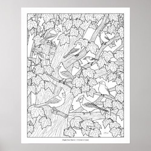 Birds and Maple Tree Adult Coloring Page 20x16 Poster