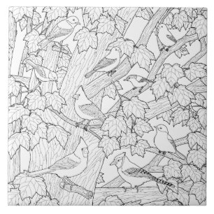 Birds and Maple Tree Adult Coloring Page Tile