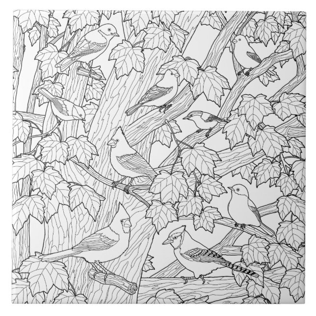 Birds and Maple Tree Adult Coloring Page Tile (Front)