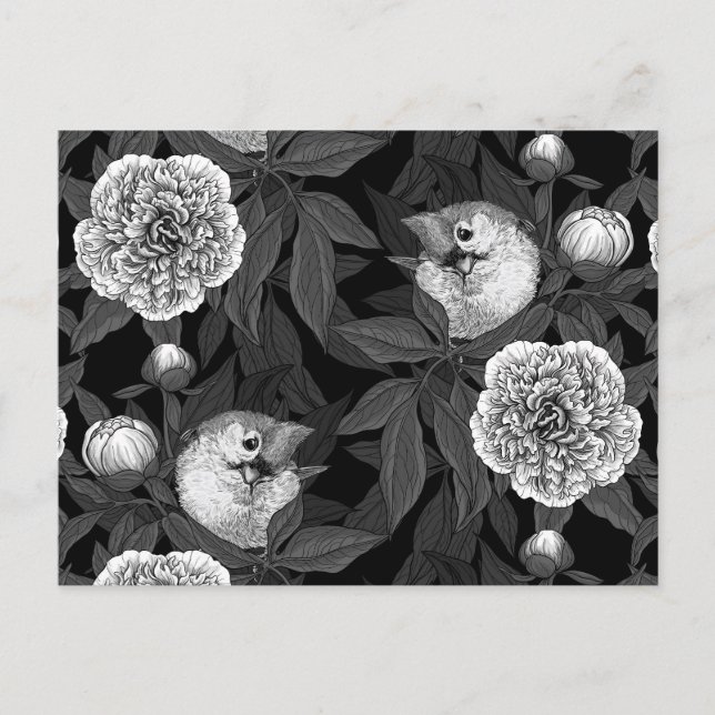 Birds and peony flowers monochrome, gray postcard (Front)