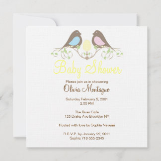 Birds and their lil Egg Baby Shower Invitation