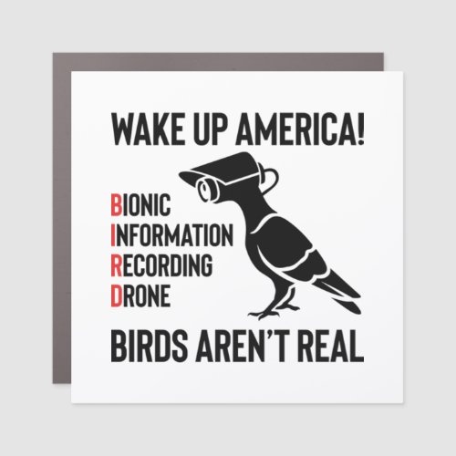 Birds Are Not Real _ If It Flies It Spies Car Magnet