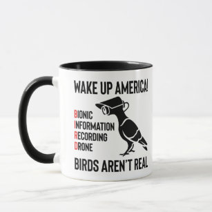 AAAA Birb Bird Borb Chonky Mug : : Home