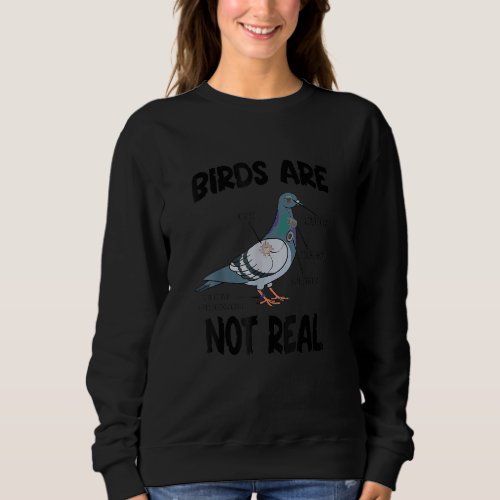 Birds Are Not Real Modern Funny Bird Watching Spie Sweatshirt