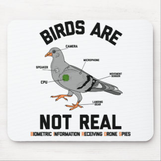 Birds Are Not Real Spy Pigeon Funny Drone Mouse Pad