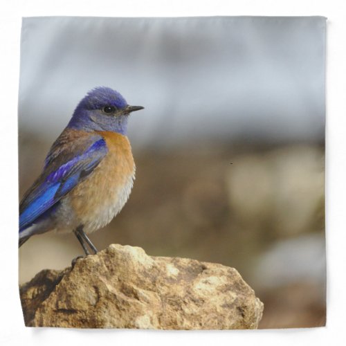 birds are the only animals with feathers 6 bandana