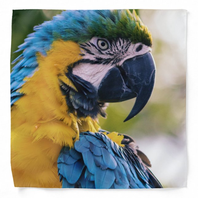 birds are the only animals with feathers 8 bandana (Front)