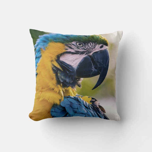 birds are the only animals with feathers 8 throw pillow (Front)