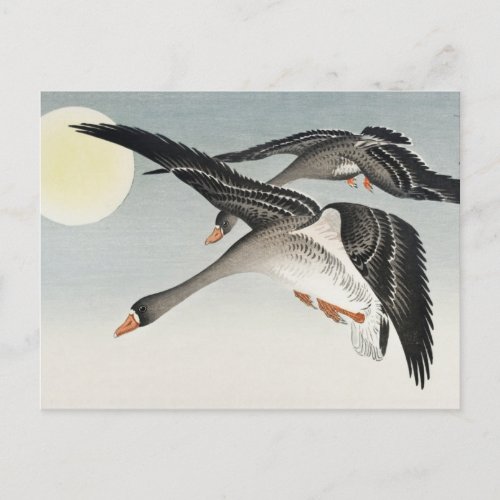 Birds at Full Moon Painting by Ohara Koson Postcard