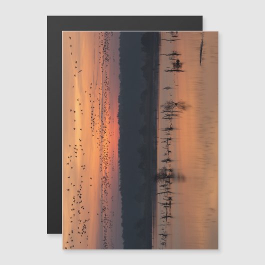 Birds at sunrise (Front/Back)