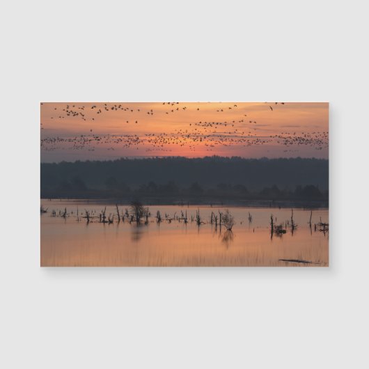 Birds at sunrise (Front)