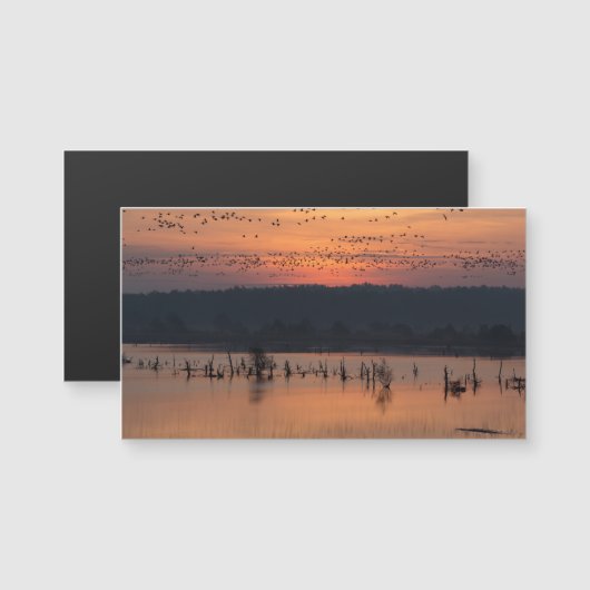 Birds at sunrise (Front/Back)
