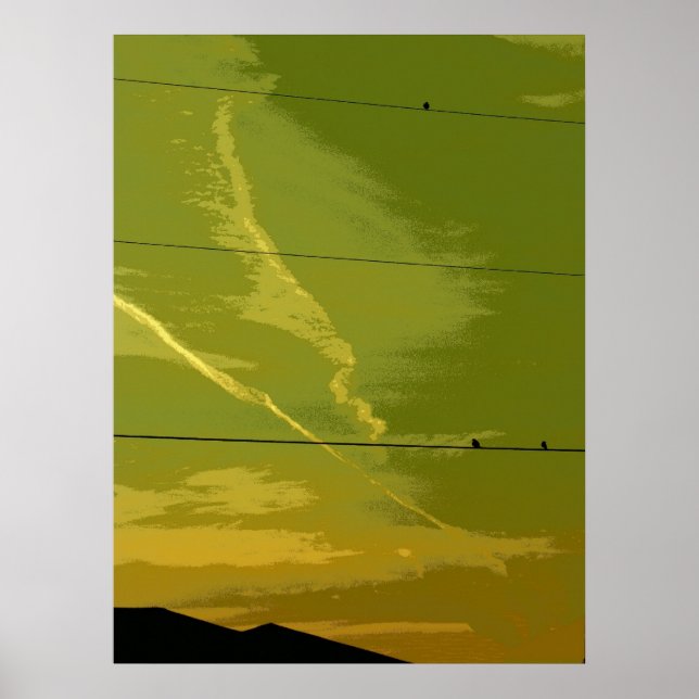 Birds At Sunset Poster (Front)