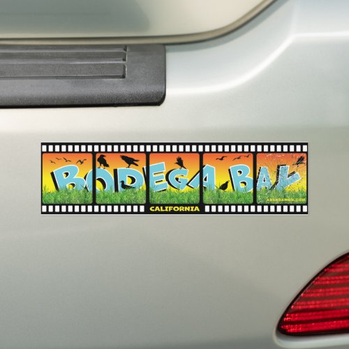 Birds Attack Bodega Bay Bumper Sticker! Sticker