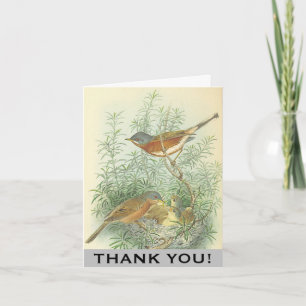 Birds, Bird Nest in a Tree "THANK YOU!" Card