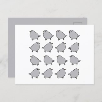 Birds Bird