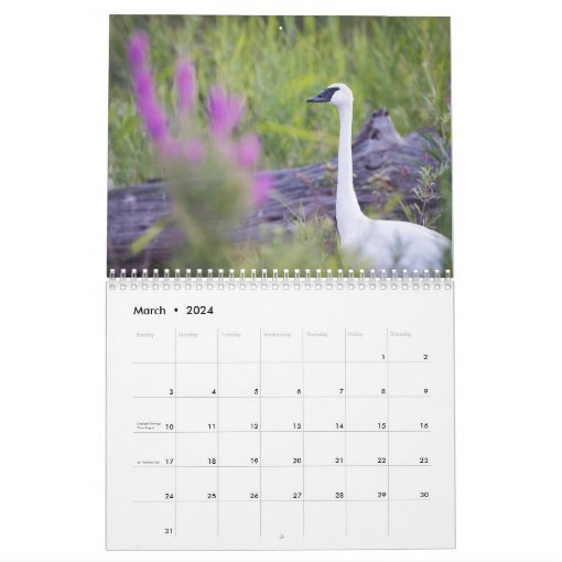 Birds & Blooms 12 Month Calendar | Zazzle