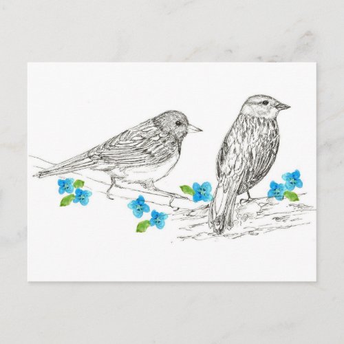 Birds Blue Flowers Nature Drawing Postcard