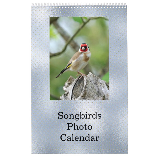 Birds Blue Photo Customizable Calendar (Cover)