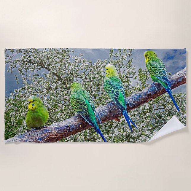 Birds - budgies beach towel (Front)