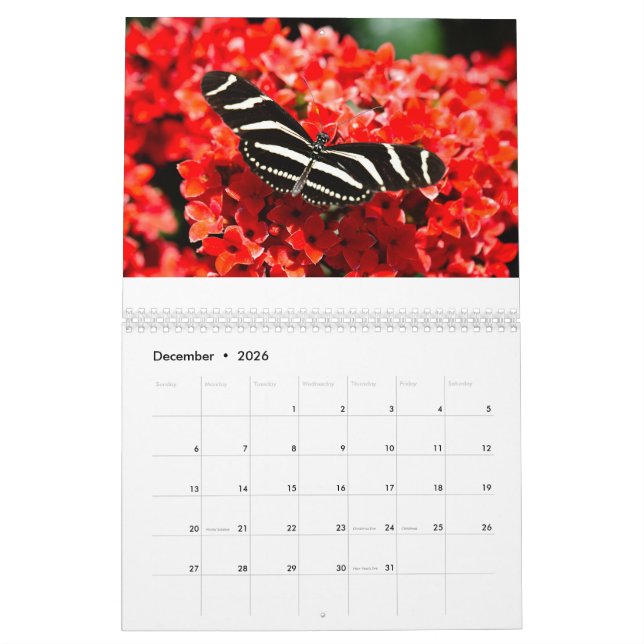 Birds, Butterflies, and Flowers Calendar  (Dec 2026)