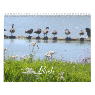 Birds Calendar