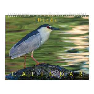 Birds Calendar