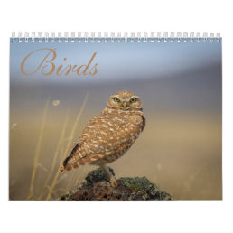 birds Calendar