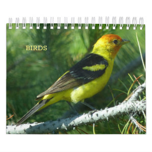 Birds Calendar