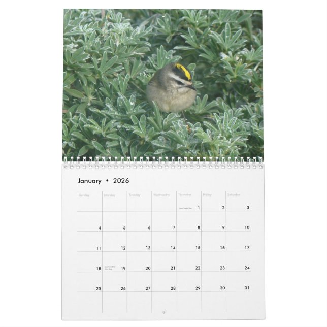 Birds Calendar 2012 (Jan 2026)