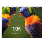 Birds Calendar 2023 at Zazzle