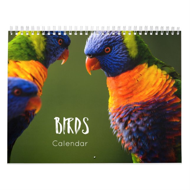 birds calendar 2023 (Cover)