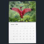 Birds Calendar 2026 - With bible verses<br><div class="desc">Wonderful birds calendar is a choice of 12 birds illustrated with quotes and verses of the bible to encourage you. The world of the birds is so interesting, they are marvels of nature with lot of character and fun bringing joy with their songs. And they teach us great lessons in...</div>
